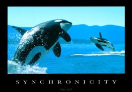 synchronicity-whales1 (1)